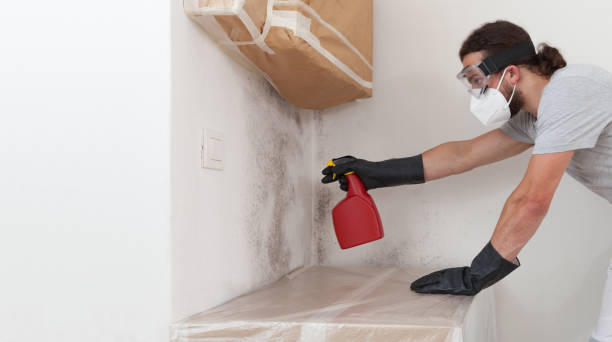 Professional Bathroom Mold Removal technician working in Medina, MN